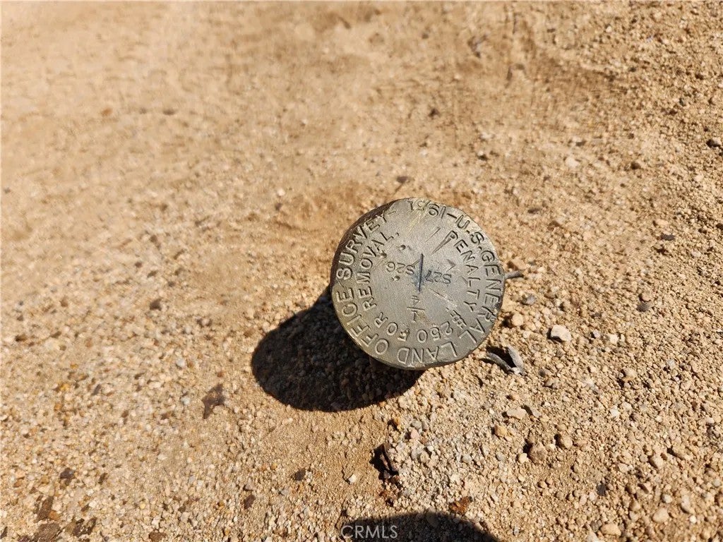 40 Joshua Tree