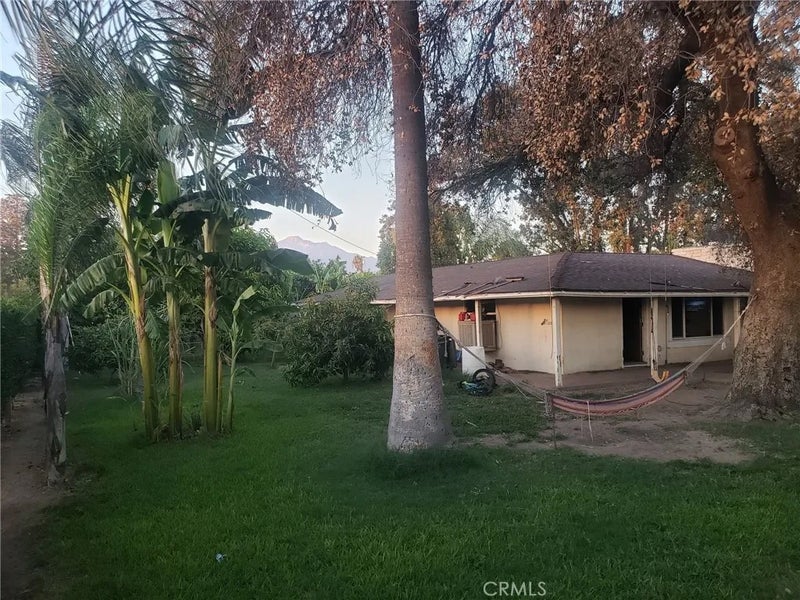 1239 S Vine Avenue