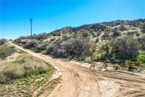 Tiny photo for 49490 Big Morongo Canyon Road, Morongo Valley, CA 92256 (MLS # JT25272548)