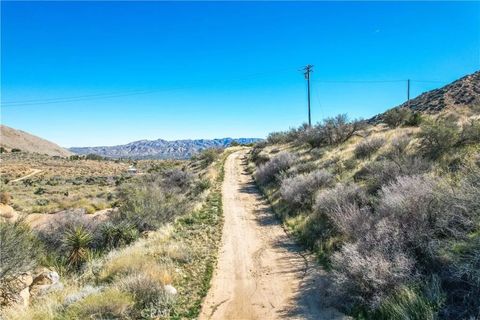 Tiny photo for 49490 Big Morongo Canyon Road, Morongo Valley, CA 92256 (MLS # JT25272548)