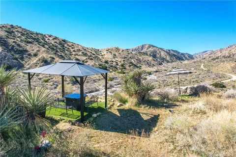 Tiny photo for 49490 Big Morongo Canyon Road, Morongo Valley, CA 92256 (MLS # JT25272548)