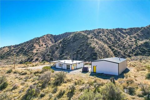 Tiny photo for 49490 Big Morongo Canyon Road, Morongo Valley, CA 92256 (MLS # JT25272548)
