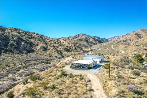 Tiny photo for 49490 Big Morongo Canyon Road, Morongo Valley, CA 92256 (MLS # JT25272548)