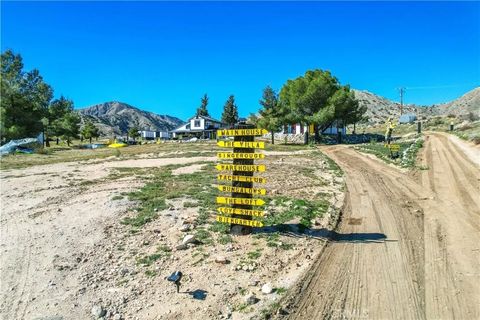 Tiny photo for 49490 Big Morongo Canyon Road, Morongo Valley, CA 92256 (MLS # JT25272548)