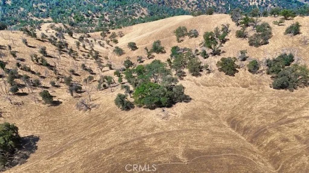 Photo of 0 Mountain View Peak Road, Oneals, CA 93653 (MLS # FR26035362)