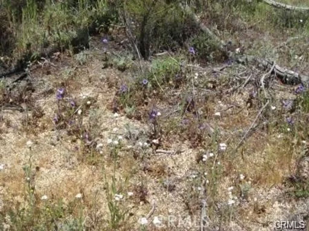 Photo of 8 Dove, Aguanga, CA 92536 (MLS # IV26061673)