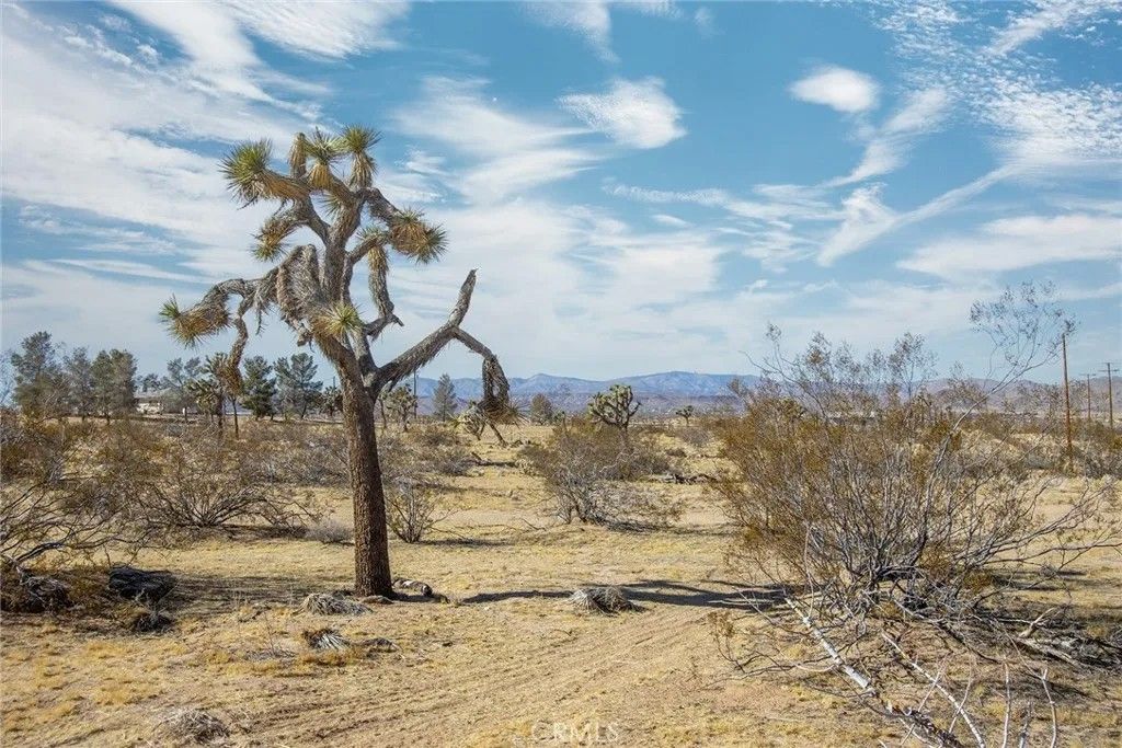 Photo of 4 Burke, Landers, CA 92285 (MLS # JT26009901)