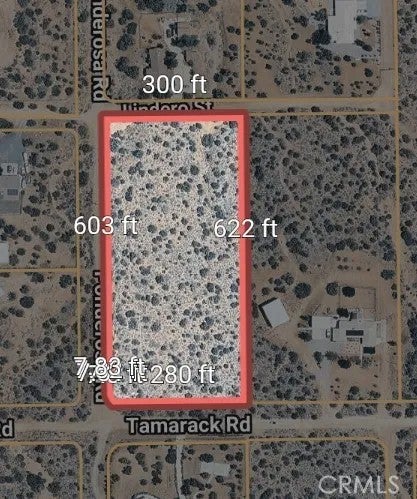 12 Tamarack