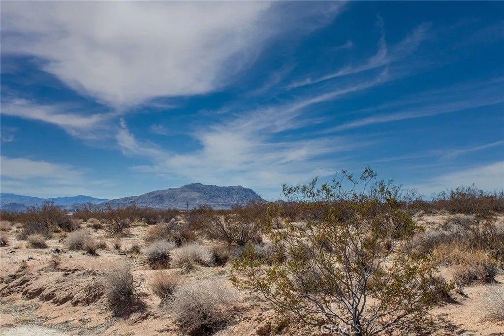 Photo of 3374 Sunny Hill, Joshua Tree, CA 92252 (MLS # JT26131811)