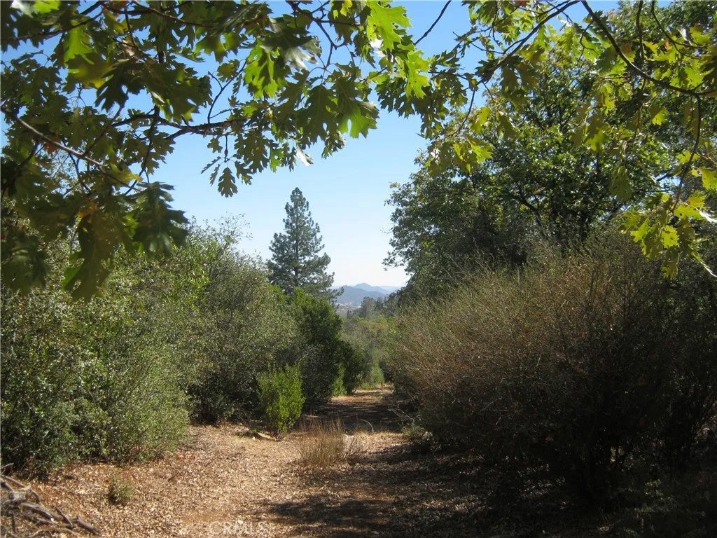 Photo of 9070 S State Highway 29, Lower Lake, CA 95457 (MLS # LC26218289)