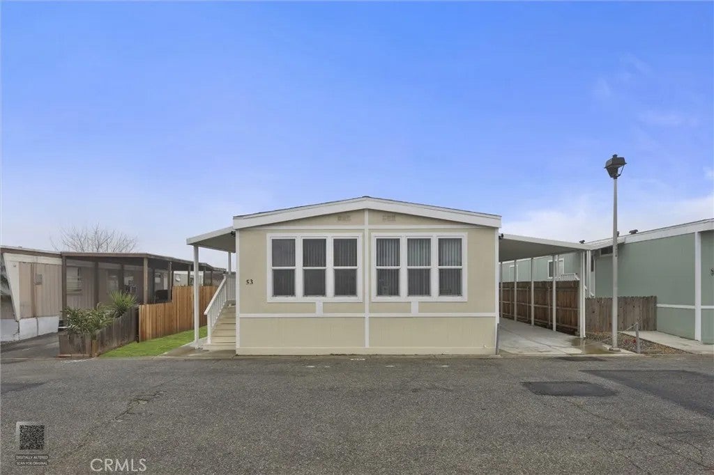53 Cedarwood
