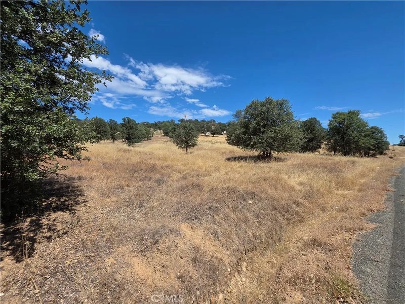 1910 New Long Valley