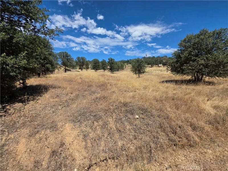 1910 New Long Valley
