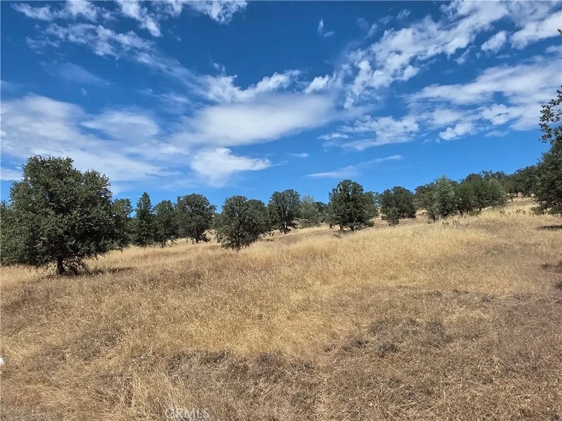 1910 New Long Valley