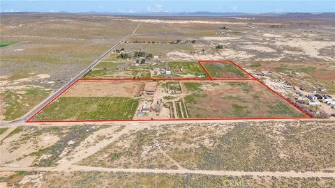 Tiny photo for 28571 Wild Rd, Helendale, CA 92342 (MLS # DW26041604)
