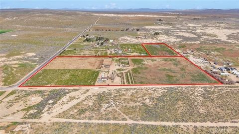 Tiny photo for 28571 Wild Rd, Helendale, CA 92342 (MLS # DW26041604)