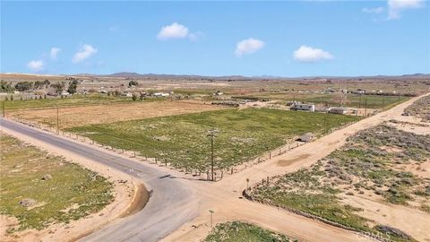 Tiny photo for 28571 Wild Rd, Helendale, CA 92342 (MLS # DW26041604)