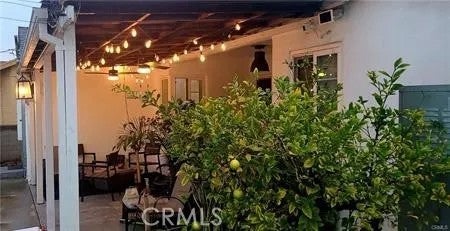 3871 Grayburn