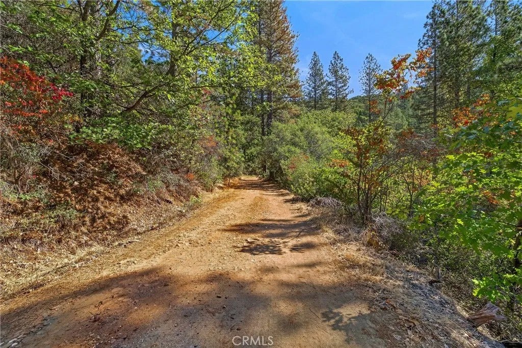 Photo of 17865 Ponderosa Way, Oroville, CA 95966 (MLS # IV26199382)