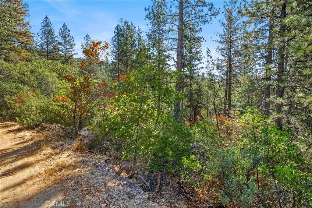 Photo of 17865 Ponderosa Way, Oroville, CA 95966 (MLS # IV26199382)
