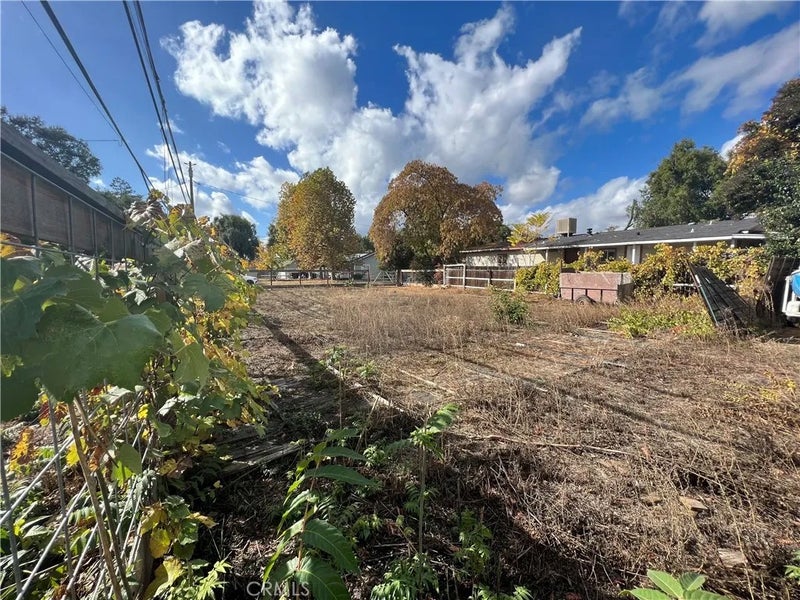 4410 Bush