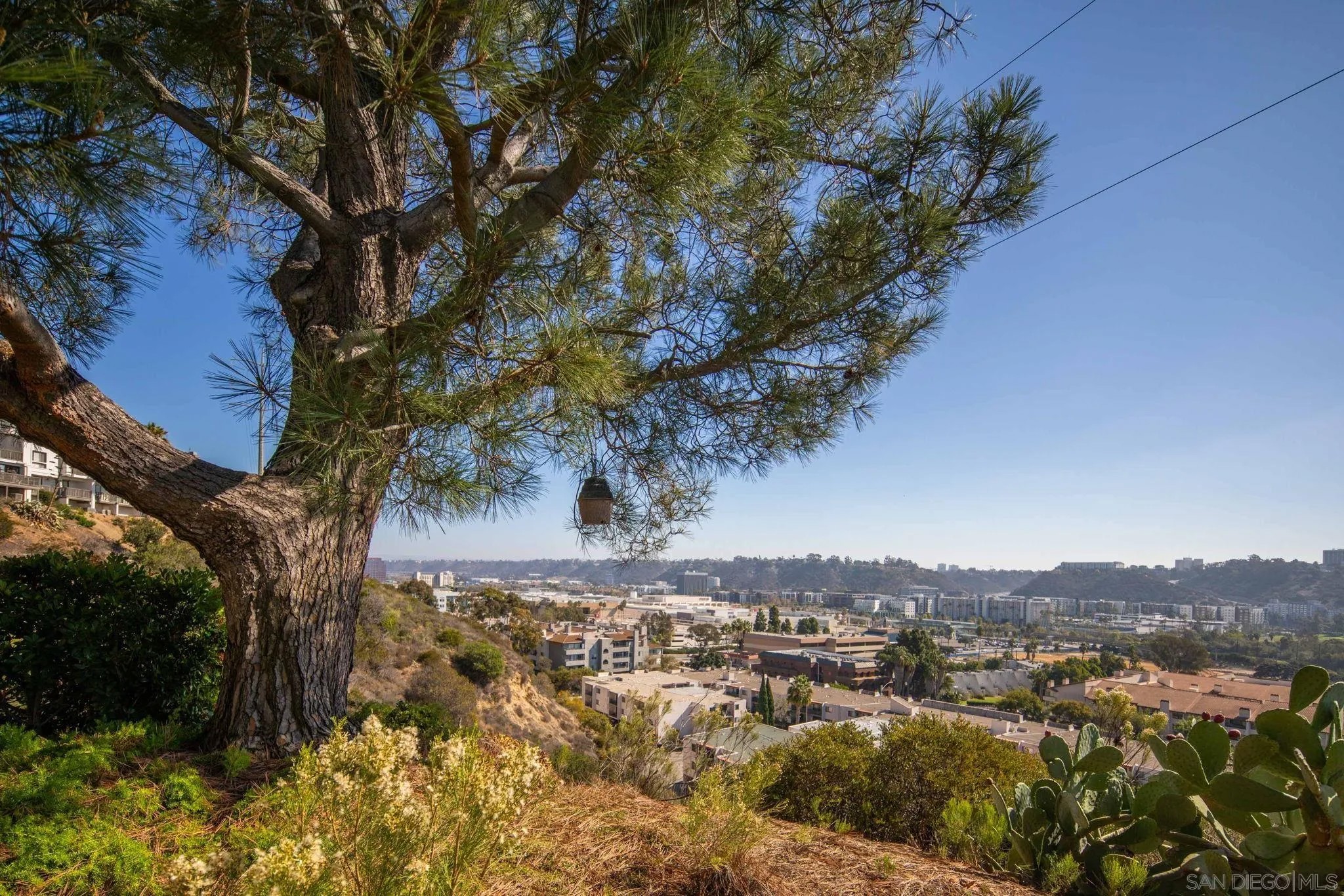 6635 Canyon Rim Row 182