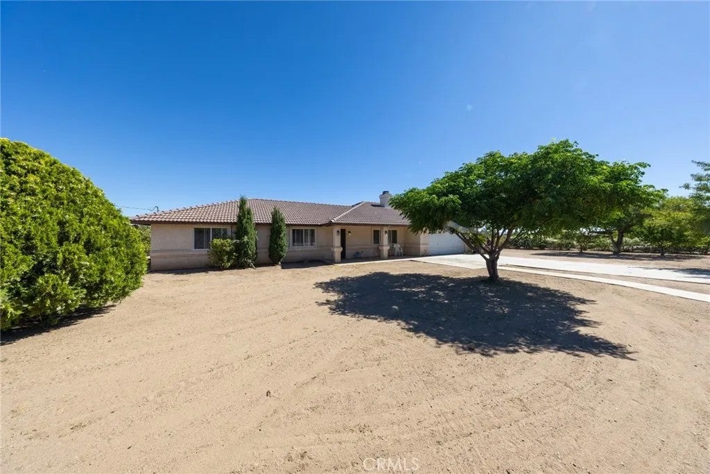 15532 Larch
