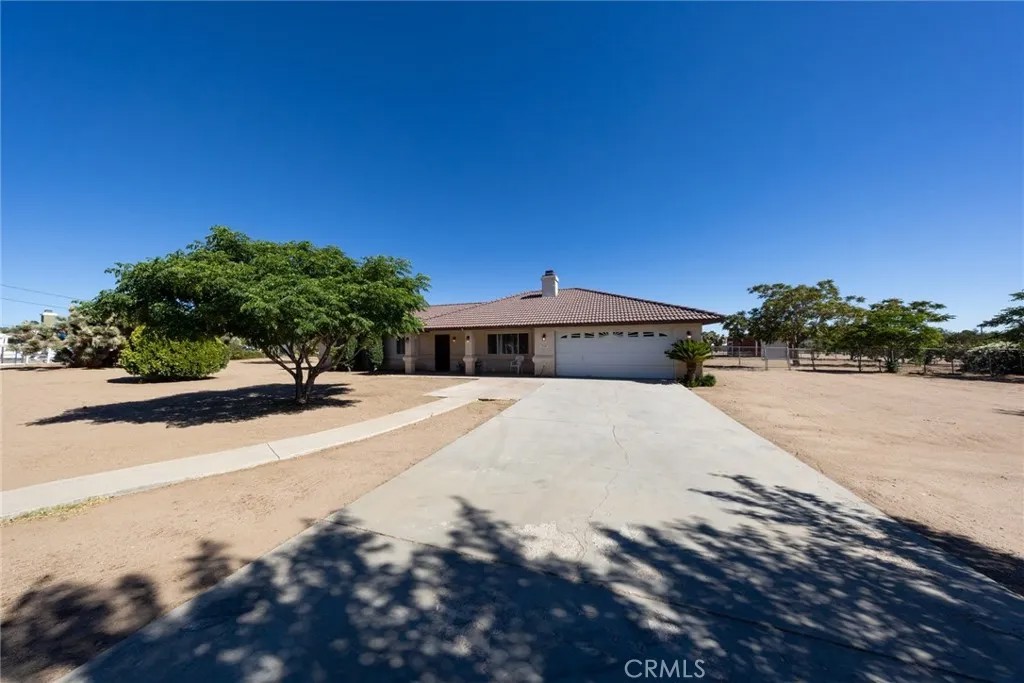 15532 Larch
