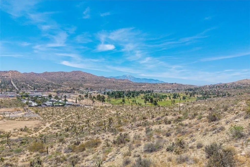 55652 Buena Vista