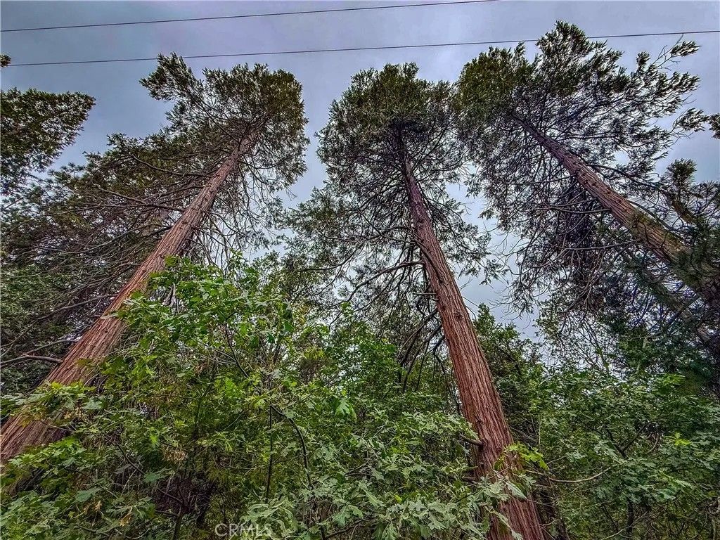 Photo of 7083 Hites Cove, Mariposa, CA 95338 (MLS # FR26115388)
