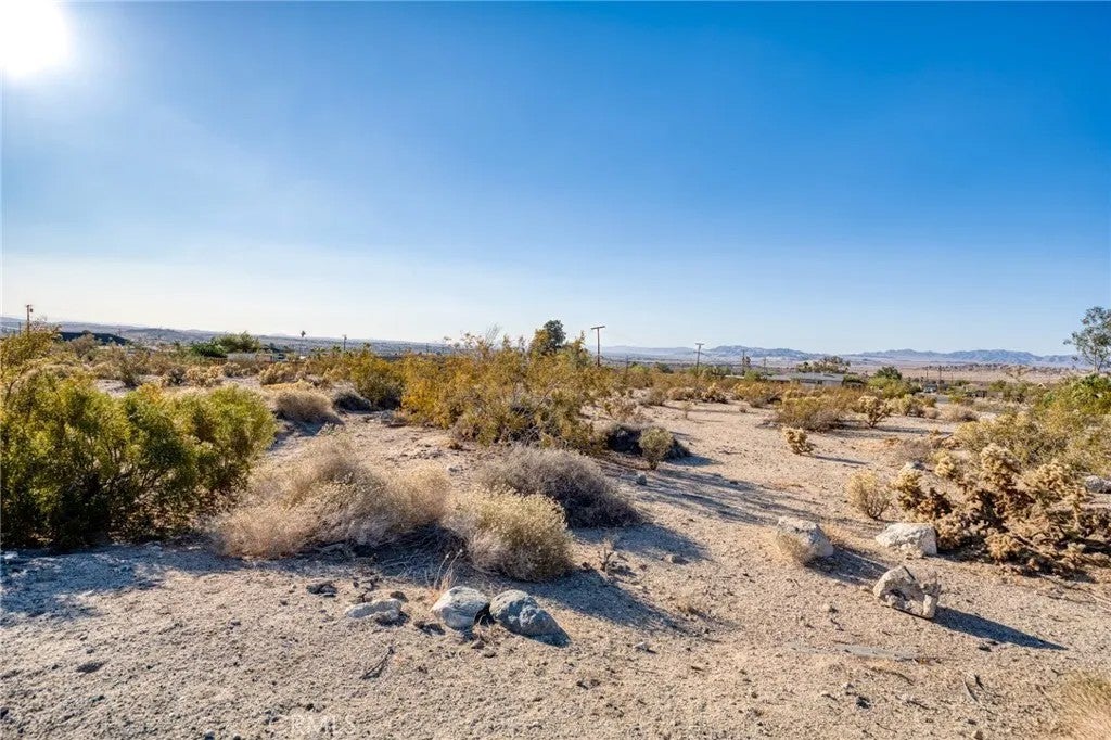 Photo of 7434 Persia Ave, 29 Palms, CA 92277 (MLS # JT26184708)