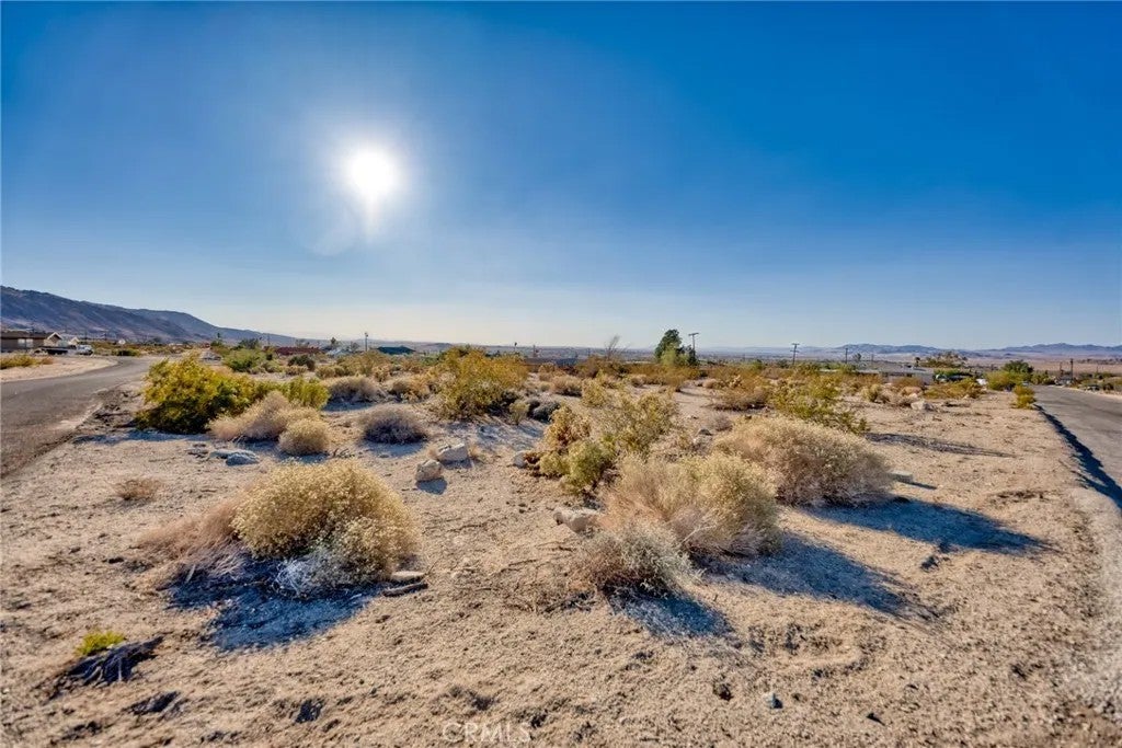Photo of 7434 Persia Ave, 29 Palms, CA 92277 (MLS # JT26184708)