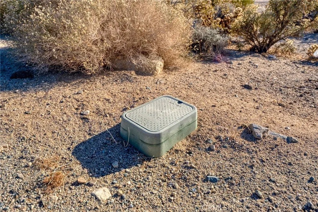 Photo of 7434 Persia Ave, 29 Palms, CA 92277 (MLS # JT26184708)