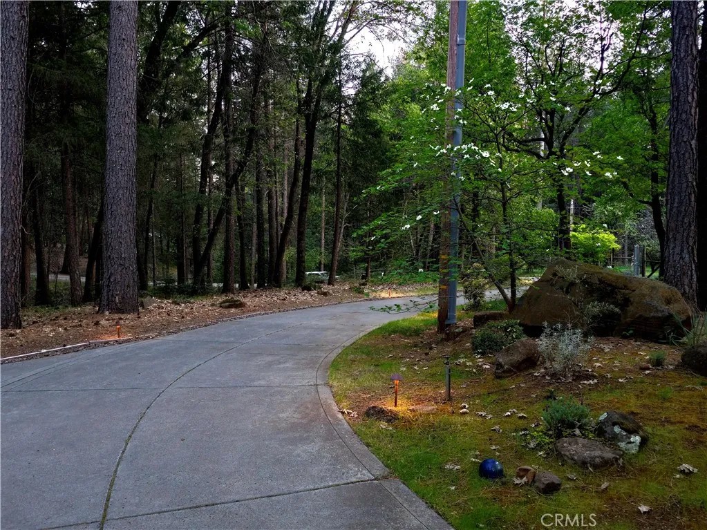 62 Hollow Oak Lane