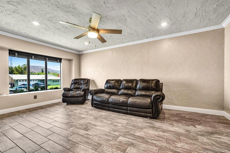 10131 Maple Tree