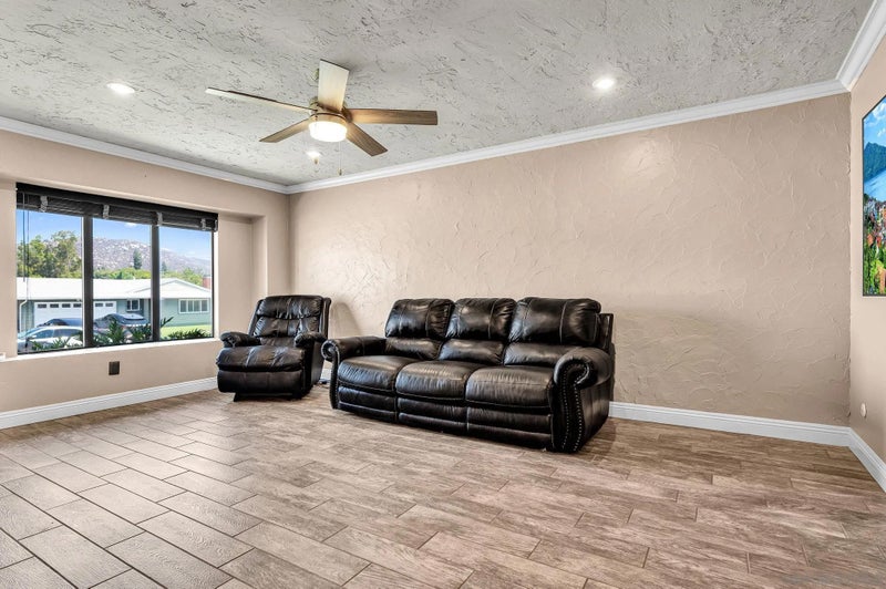 10131 Maple Tree