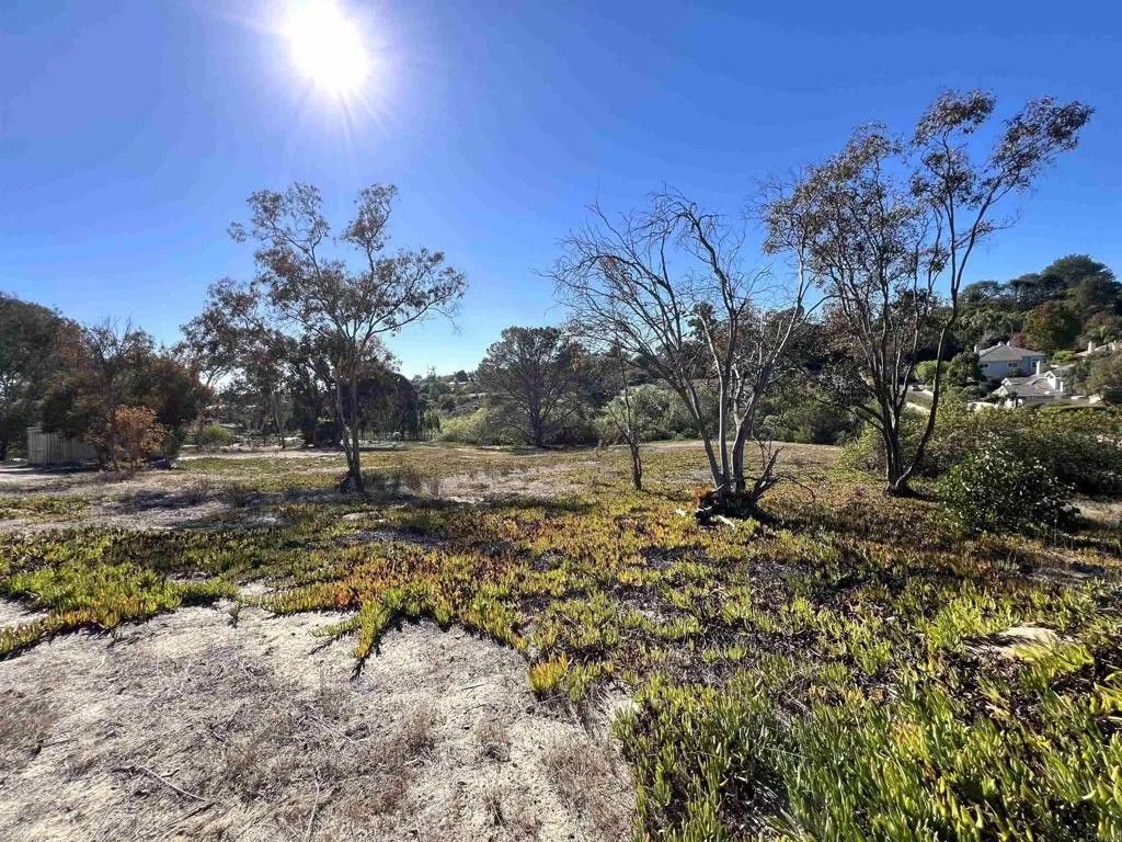 Photo of Mays Hollow Lane, Encinitas, CA 92024 (MLS # NDP2510456)
