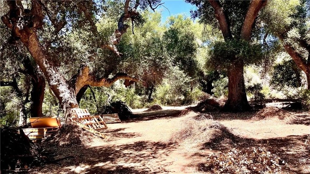 Photo of 19 Hombre, Murrieta, CA 92562 (MLS # OC25147677)