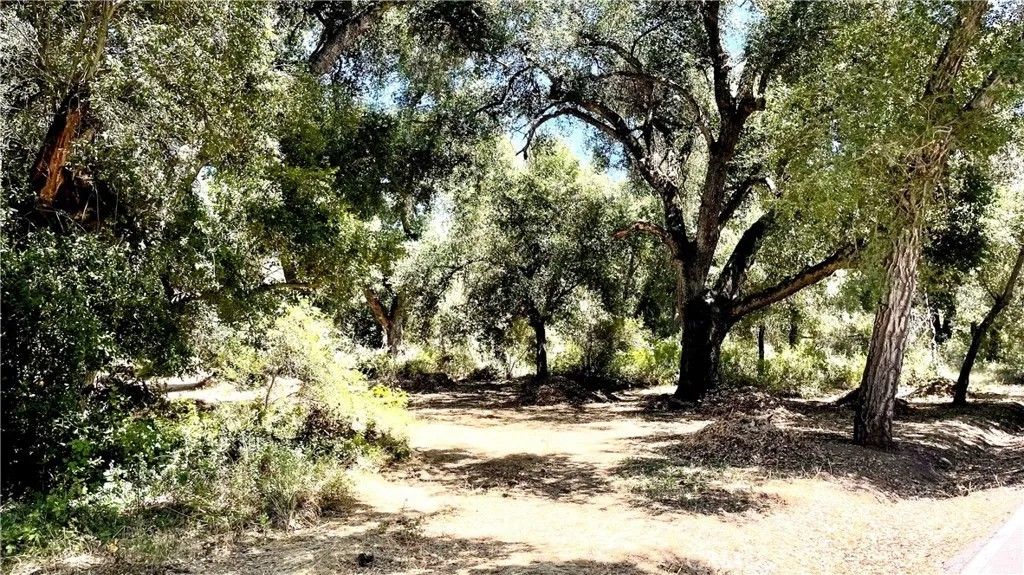 Photo of 19 Hombre, Murrieta, CA 92562 (MLS # OC25147677)