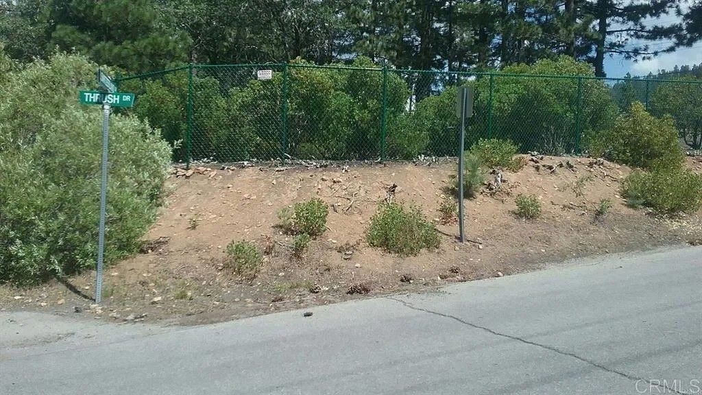 Photo of 0 Switzerland Dr, Big Bear, CA 92315 (MLS # NDP2600229)