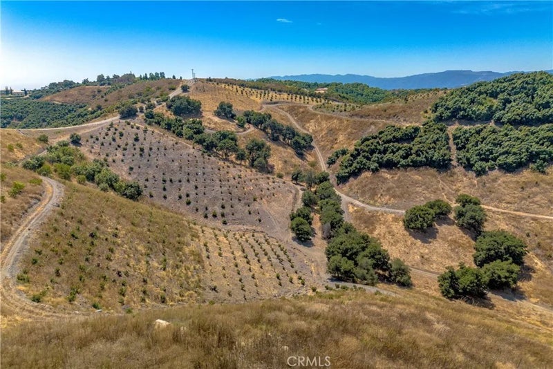 3 La Cruz