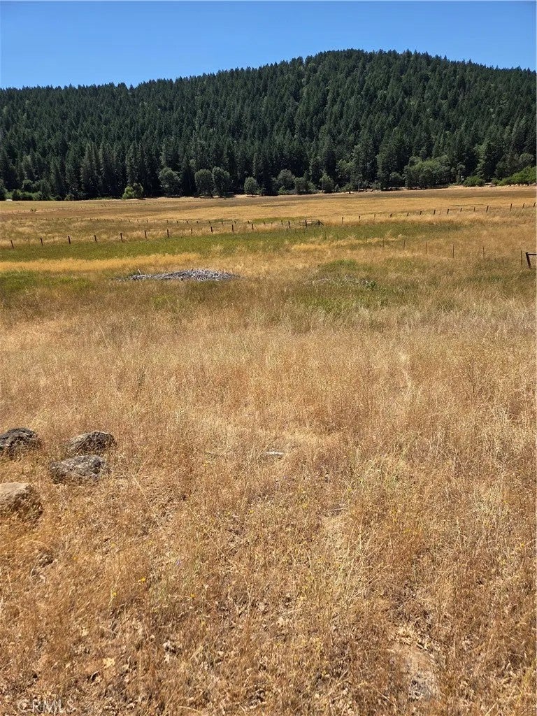 9655 Mountain Meadow