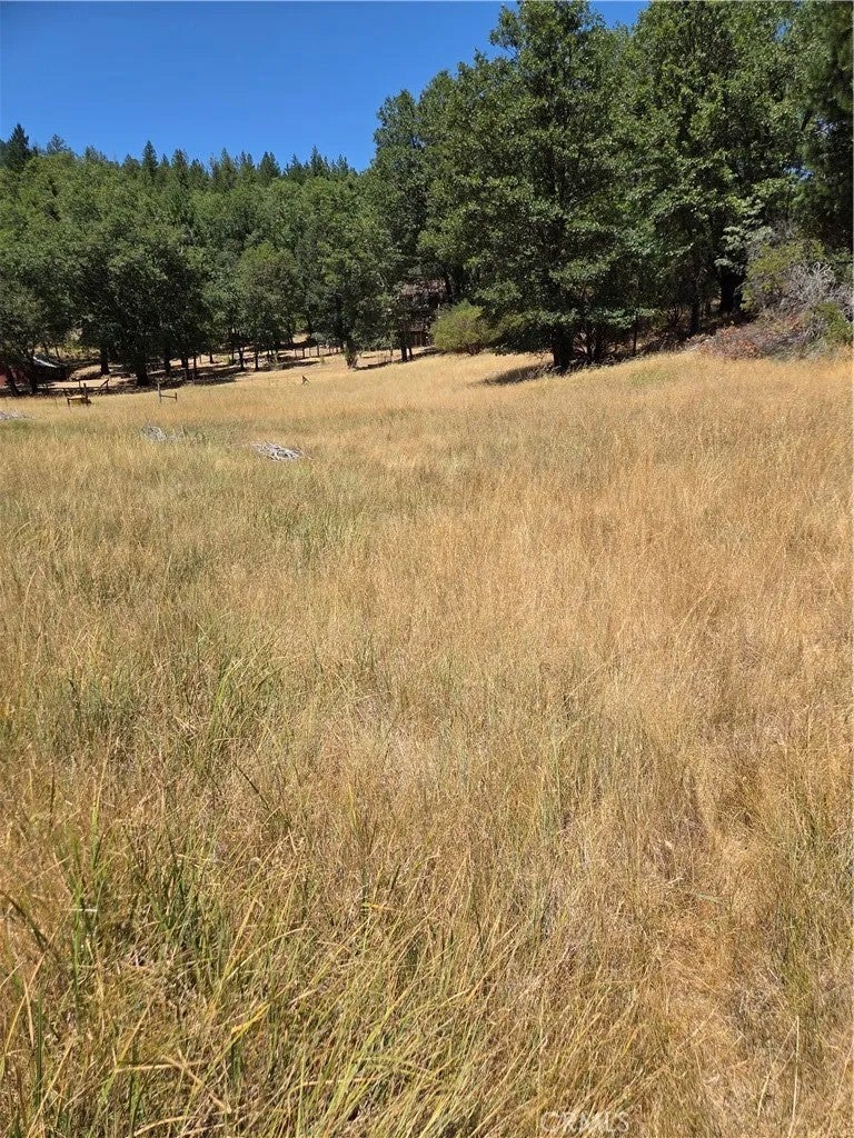 9655 Mountain Meadow