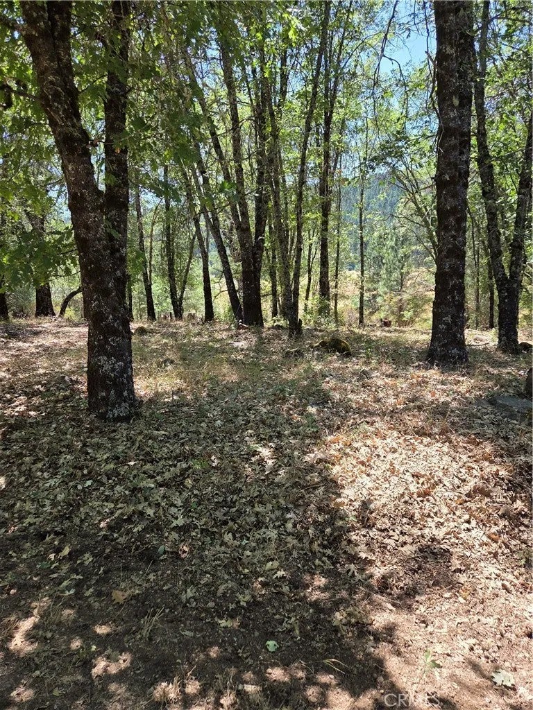 9655 Mountain Meadow