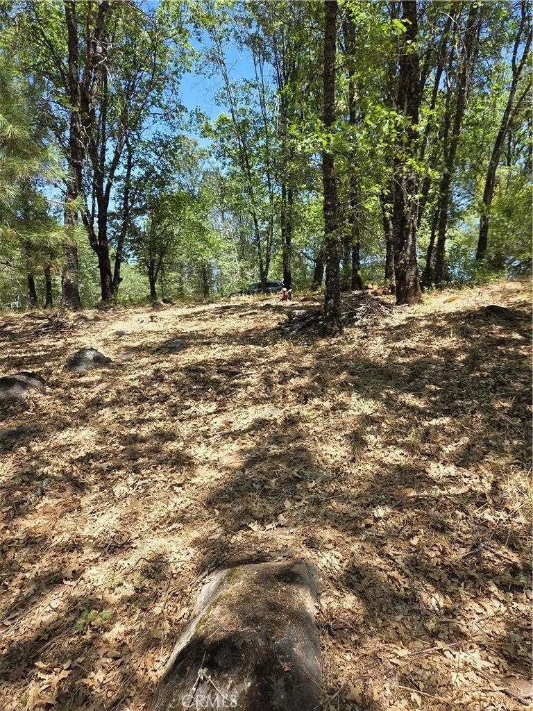 9655 Mountain Meadow