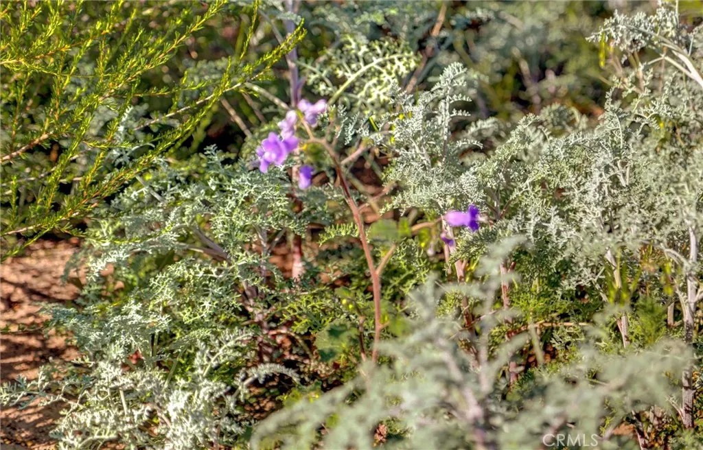 1 Decker Canyon Road