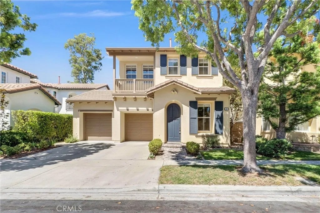 23 Carpenteria