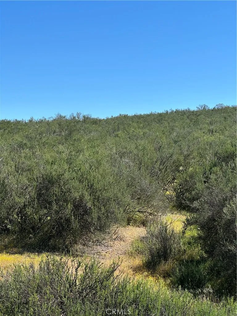 0 Sage & Red Mountain