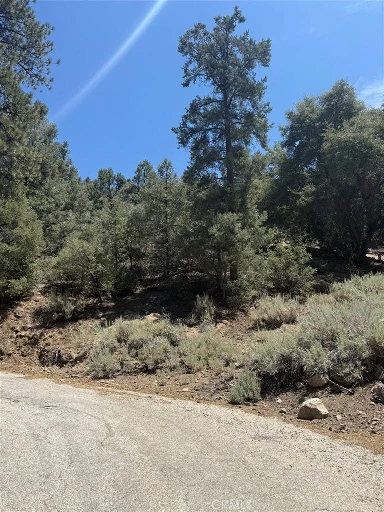 Photo of 1912 Symonds DR, Pine Mountain Club, CA 93222 (MLS # SR26186352)