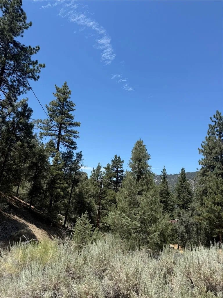 Photo of 1912 Symonds DR, Pine Mountain Club, CA 93222 (MLS # SR26186352)